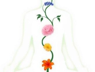 Wellness Nord Revier
